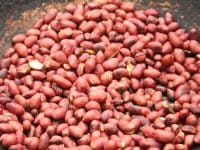 Homemade Roasted Peanuts and Sea Salt