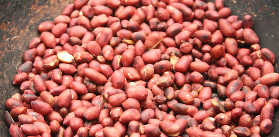 Homemade Roasted Peanuts and Sea Salt