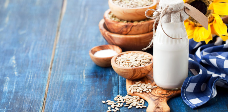 Raw Sunflower Seed Milk