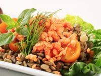 Lentil Romaine Salad