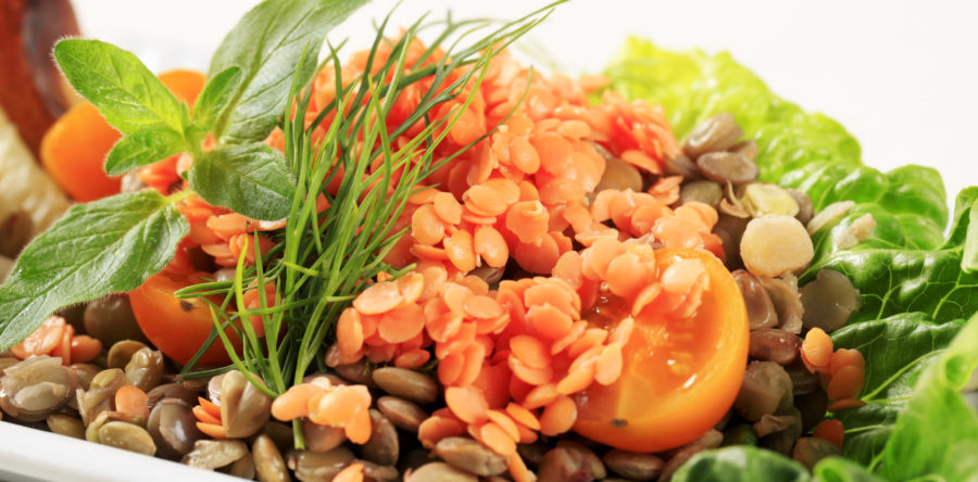 Lentil Romaine Salad