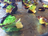 Brussel Sprout Chips