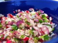 Radish Salsa