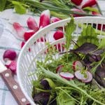 Spring Salad Topped with Marinated Fresh Radish