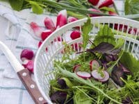 Spring Salad Topped with Marinated Fresh Radish