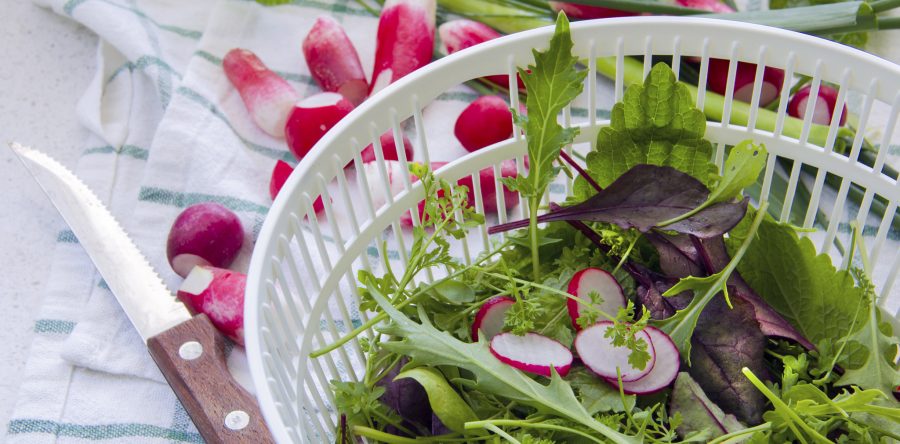 Spring Salad Topped with Marinated Fresh Radish